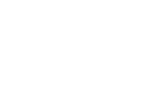 Willy Dancer